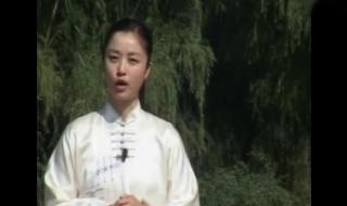 42式太极拳分解教学